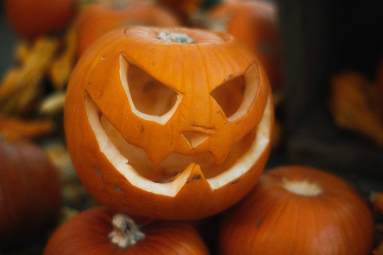 Resource Renew’s Pumpkin Palooza 2026