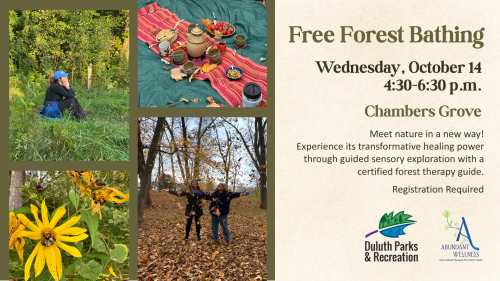 Forest bathing october
