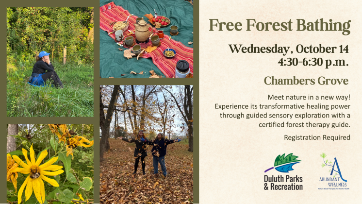 Forest bathing october