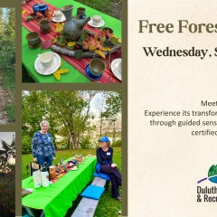 Forest bathing sept
