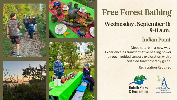Forest bathing sept