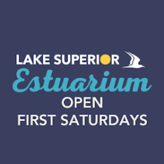 Open 1st sat