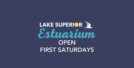 Open 1st sat