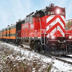 245 Blueskye Christmas Tree Train
