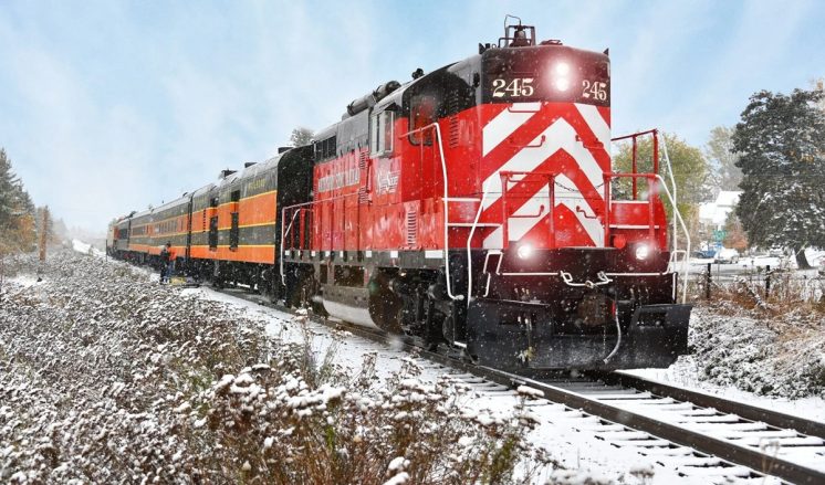 245 Blueskye Christmas Tree Train
