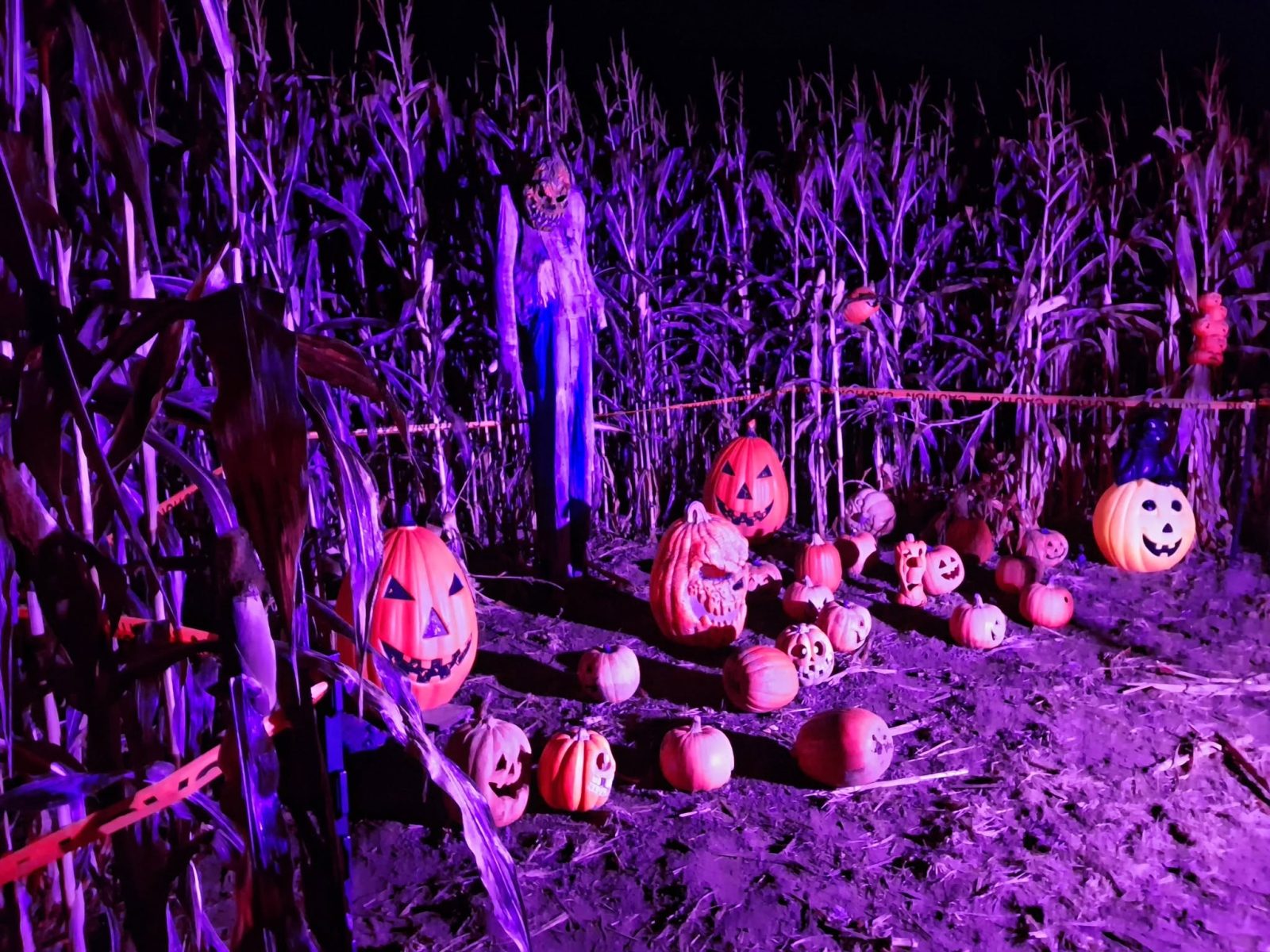 Haunted Shack
