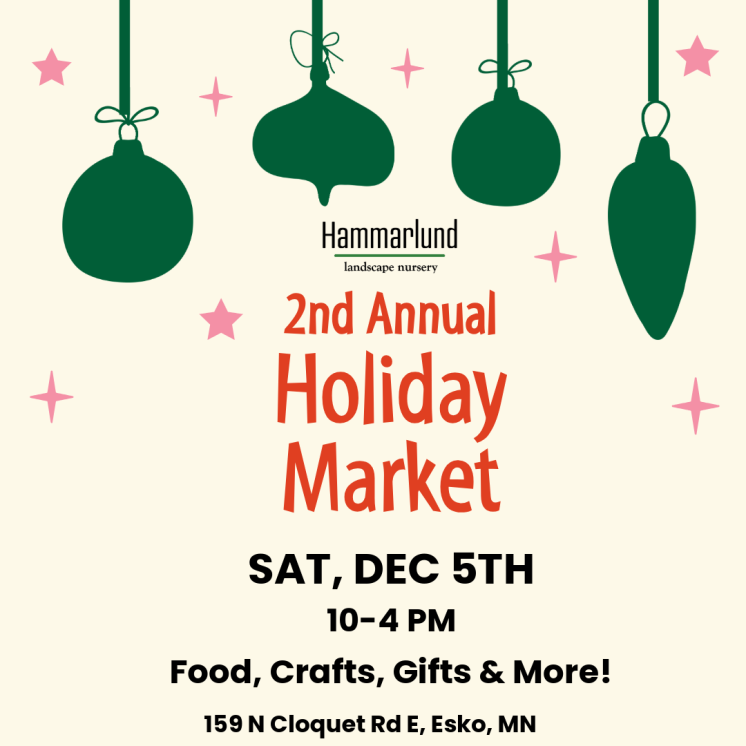 Holiday Market 26 Ornaments Square