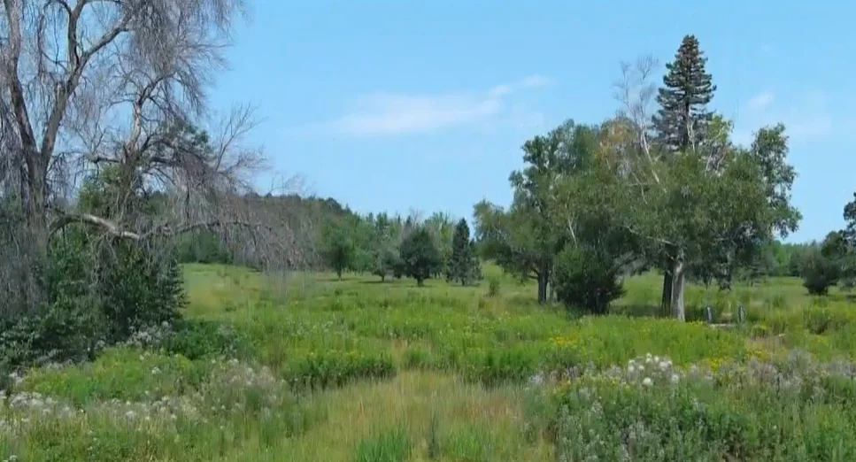 Lester Park Golf Course