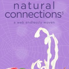 Natural Connections 3 front cover