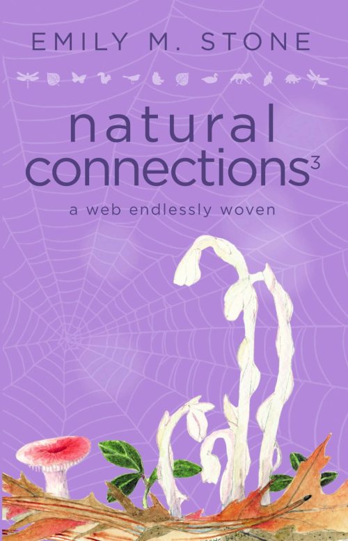 Natural Connections 3 front cover